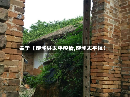 关于【遂溪县太平疫情,遂溪太平镇】-第2张图片