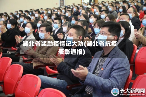 湖北省奖励疫情记大功(湖北省抗疫表彰通报)-第3张图片