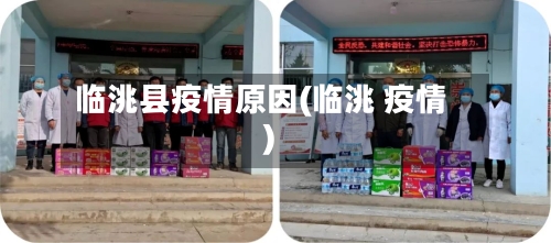 临洮县疫情原因(临洮 疫情)