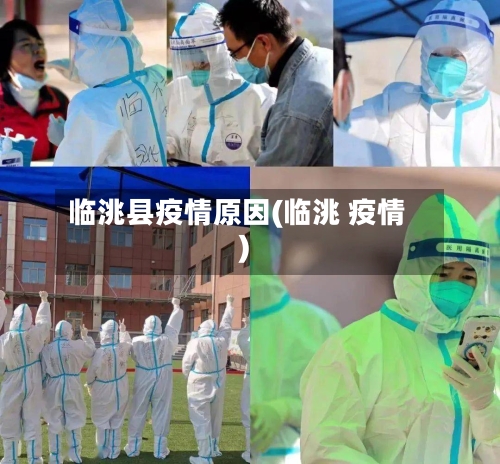 临洮县疫情原因(临洮 疫情)-第3张图片