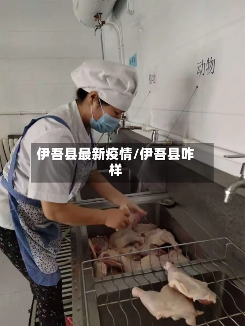 伊吾县最新疫情/伊吾县咋样-第3张图片