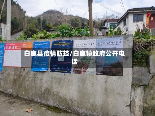 白鹿县疫情防控/白鹿镇政府公开电话-第3张图片