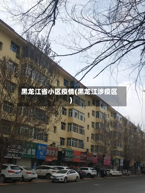 黑龙江省小区疫情(黑龙江涉疫区)