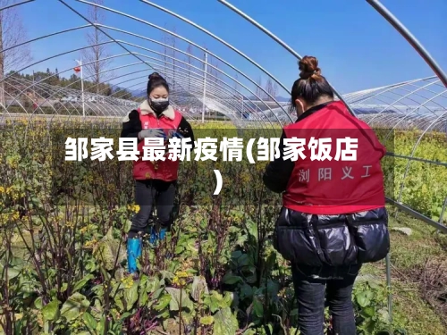 邹家县最新疫情(邹家饭店)