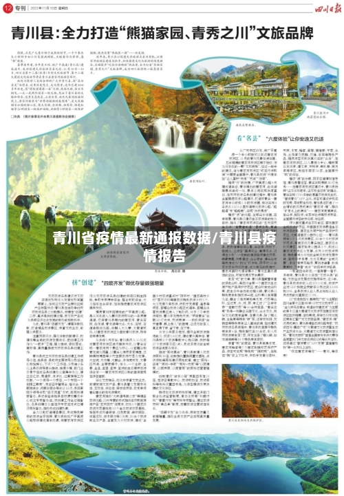 青川省疫情最新通报数据/青川县疫情报告