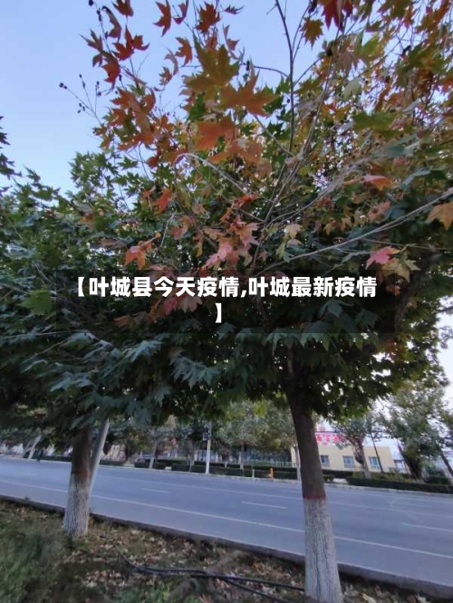 【叶城县今天疫情,叶城最新疫情】-第3张图片