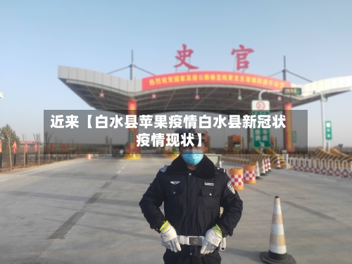 近来【白水县苹果疫情白水县新冠状疫情现状】-第2张图片