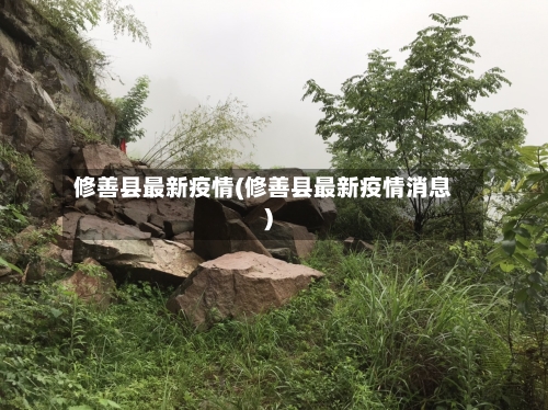 修善县最新疫情(修善县最新疫情消息)-第2张图片