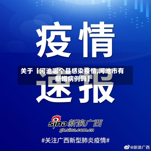 关于【河池哪个县感染疫情,河池市有新增病例吗】-第2张图片
