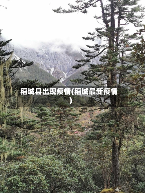 稻城县出现疫情(稻城最新疫情)-第2张图片