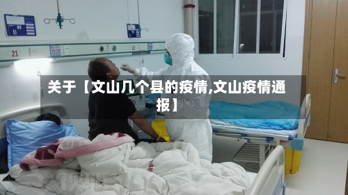 关于【文山几个县的疫情,文山疫情通报】