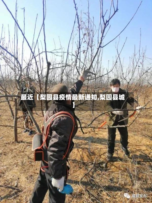 最近【梨园县疫情最新通知,梨园县城】